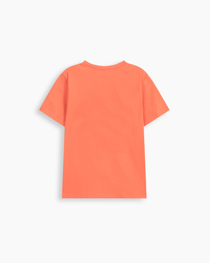 Boys T Shirt - Engine - Buy Now
