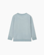 Boys Sweatshirt - Engine - Buy Now