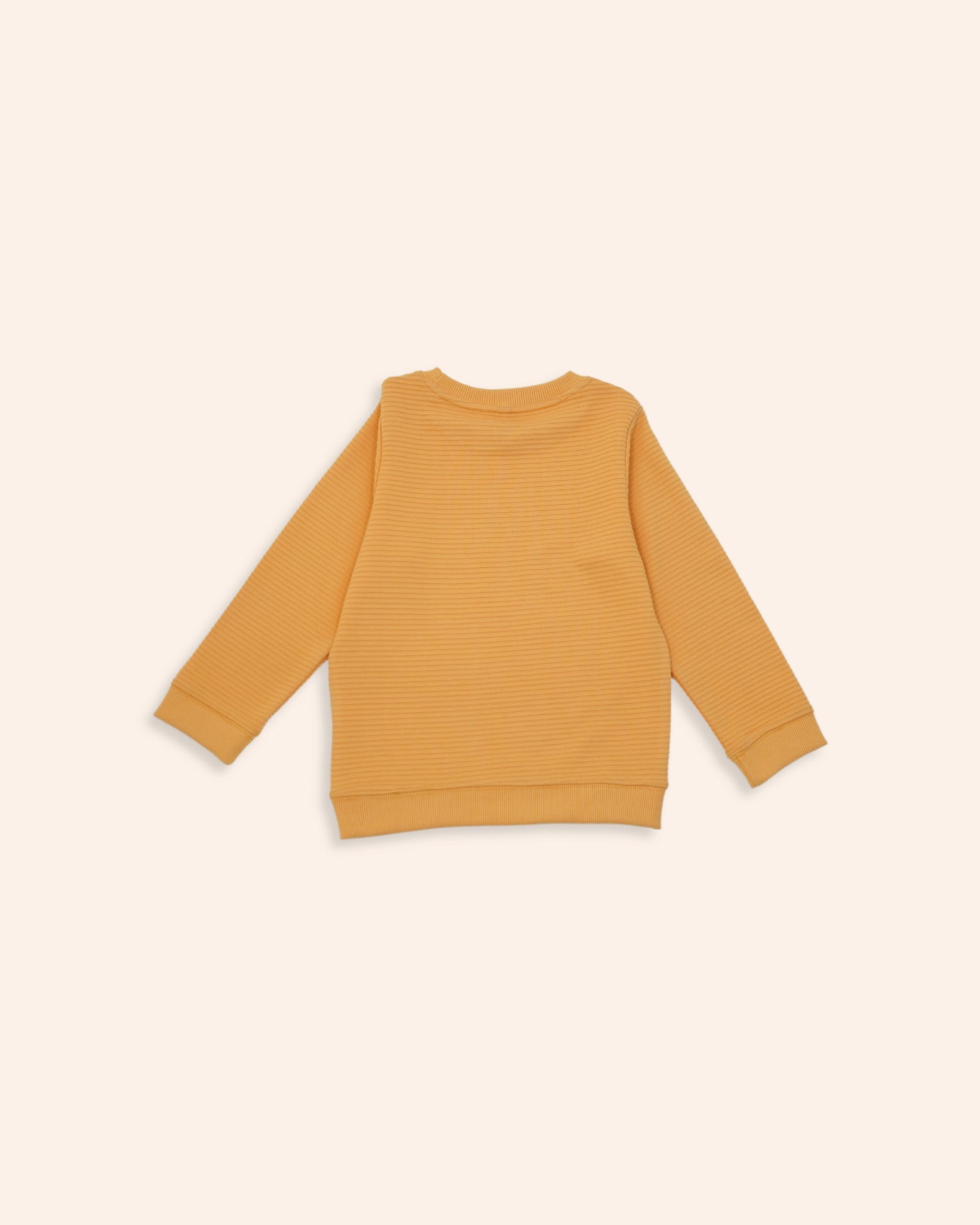 Boys Basic Sweatshirt