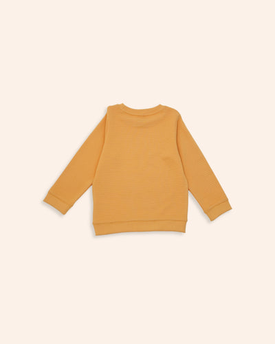 Boys Basic Sweatshirt