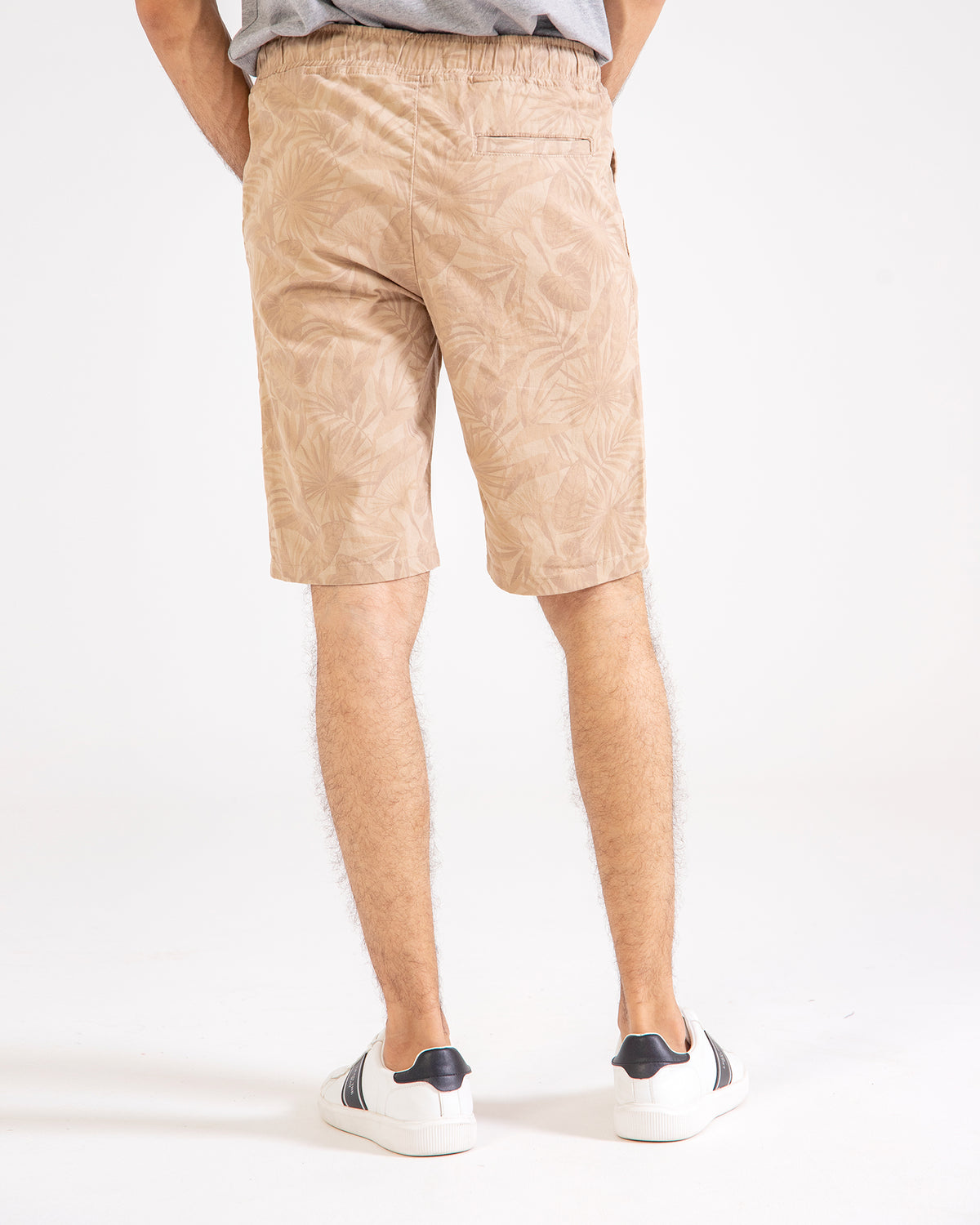 Men Chino Shorts - Engine - Buy Now