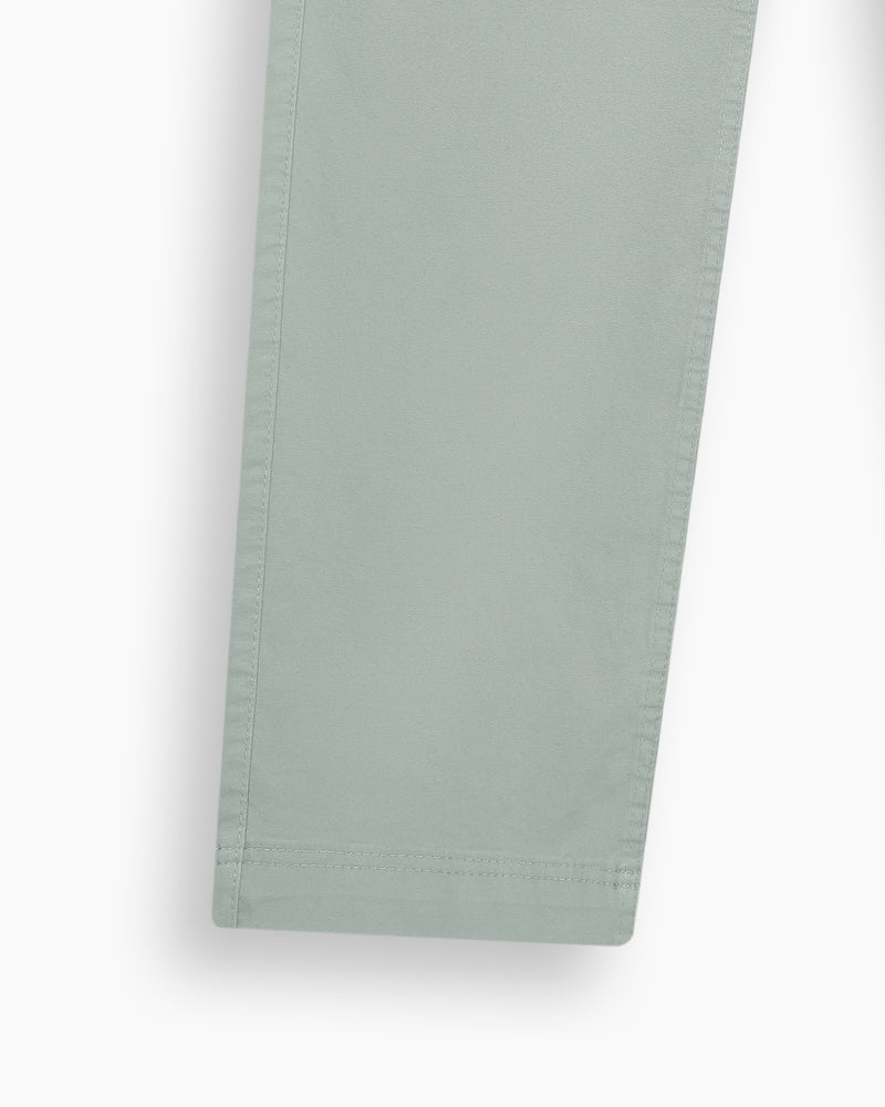 Men Regular Fit Pant