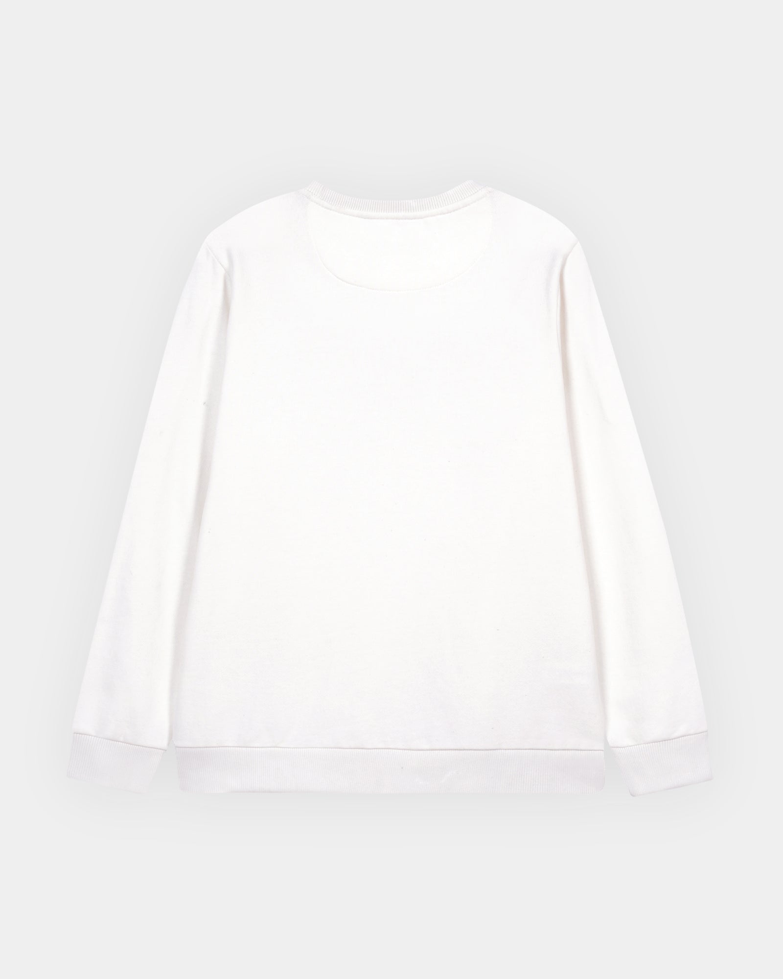 Men Sweatshirt