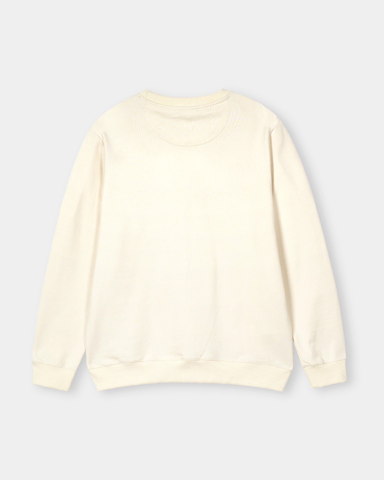 Men Basic Sweatshirt