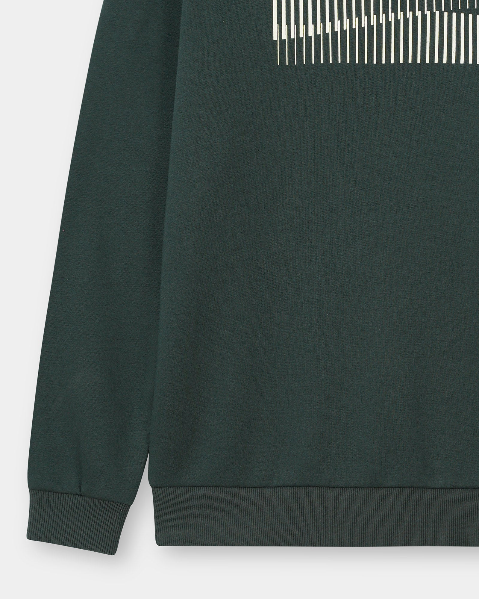 Men Graphic Sweatshirt