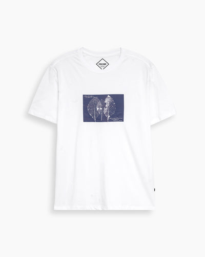 Men T Shirt