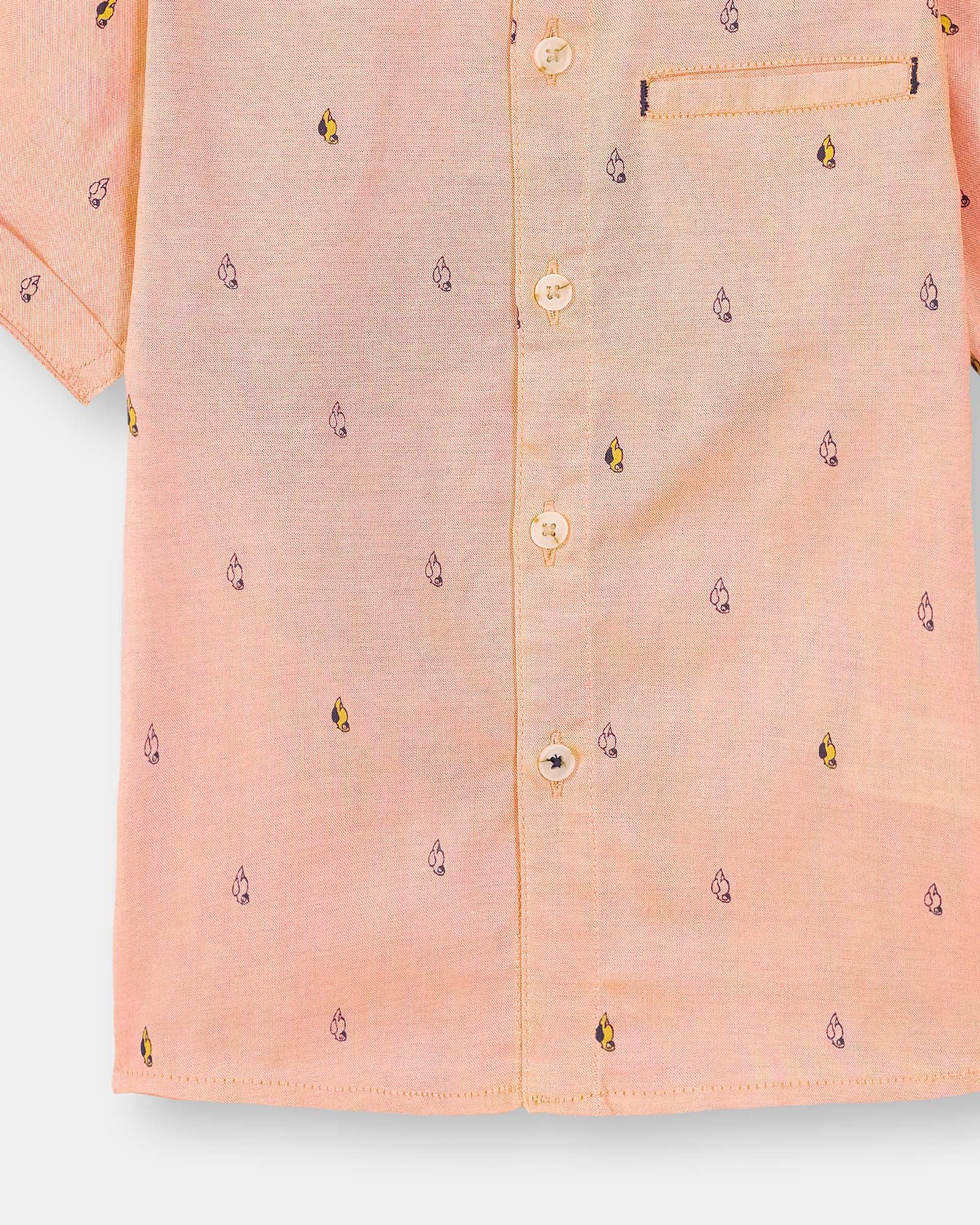 Boys Casual Shirt