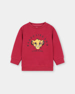 Boys Typography Sweatshirt - Engine - Buy Now