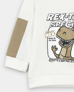 Boys Graphic SweatShirt - Engine - Buy Now