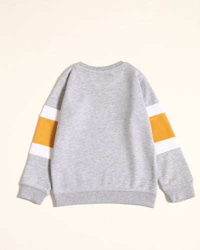 Boys Panel Sweatshirt