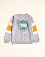 Boys Panel Sweatshirt - Engine - Buy Now