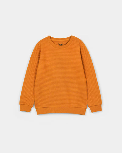 Boys Basic SweatShirt