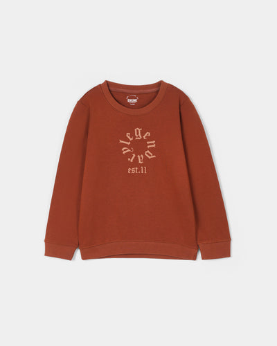 Boys Graphic Sweatshirt