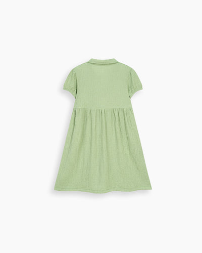 Girls Embroidered Dress