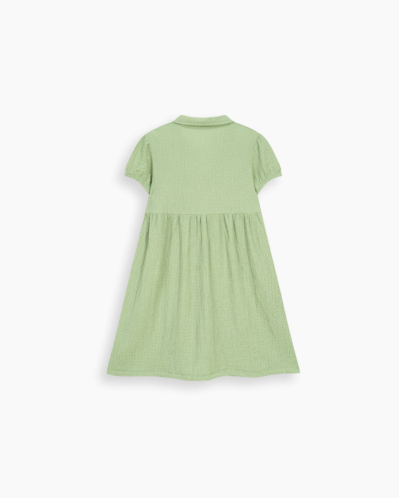 Girls Embroidered Dress