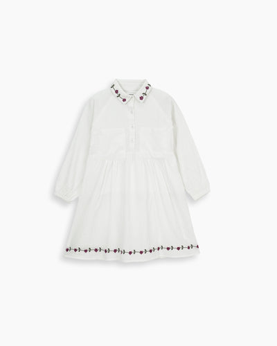 Girls Embroidered Dress