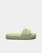 Women Slides - Engine - Buy Now