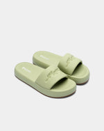 Women Slides - Engine - Buy Now