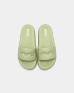 Women Slides - Engine - Buy Now