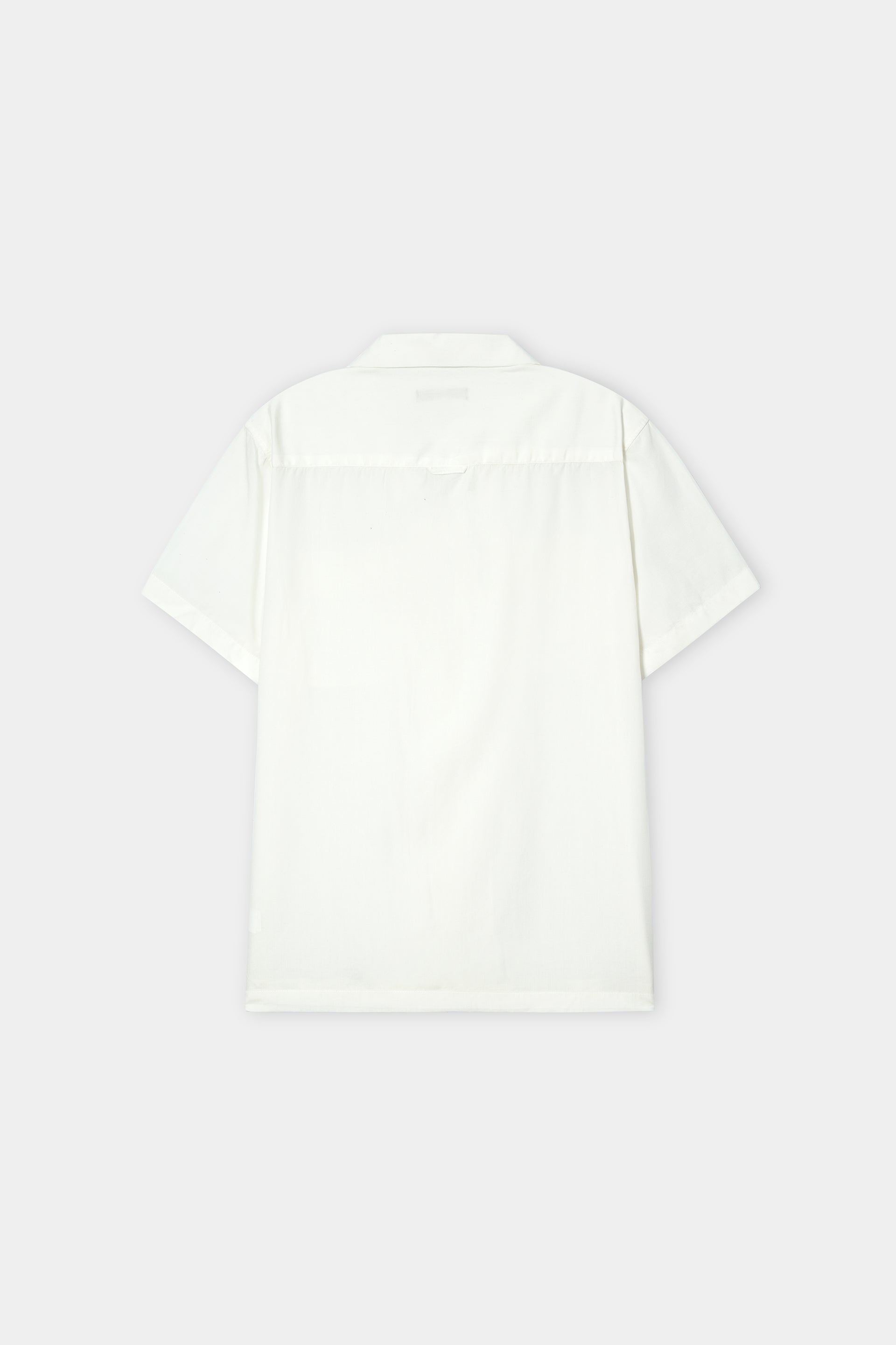 Men Regular Fit Casual Shirt