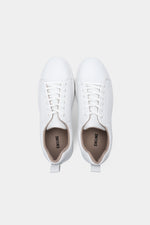 Men Sneakers - Engine - Buy Now