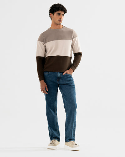 Men Basic Sweatshirt