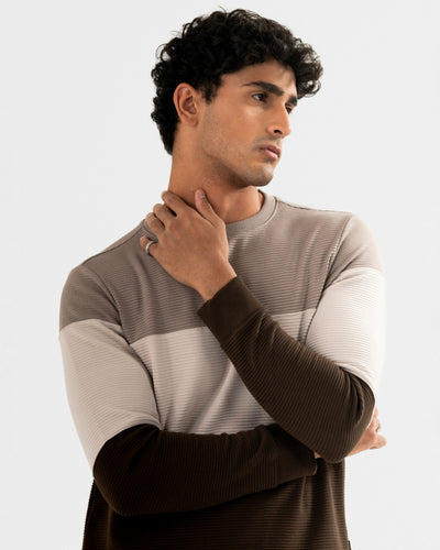 Men Basic Sweatshirt