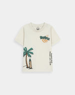 Boys T Shirt (Pack Of 3) - Engine - Buy Now