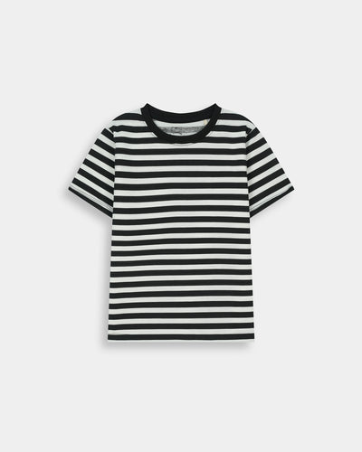 Boys T Shirt (Pack Of 3)