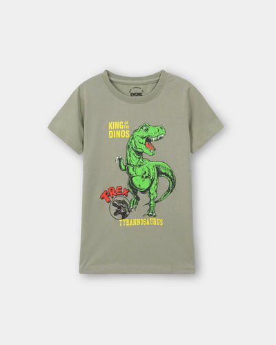 Boys T Shirt