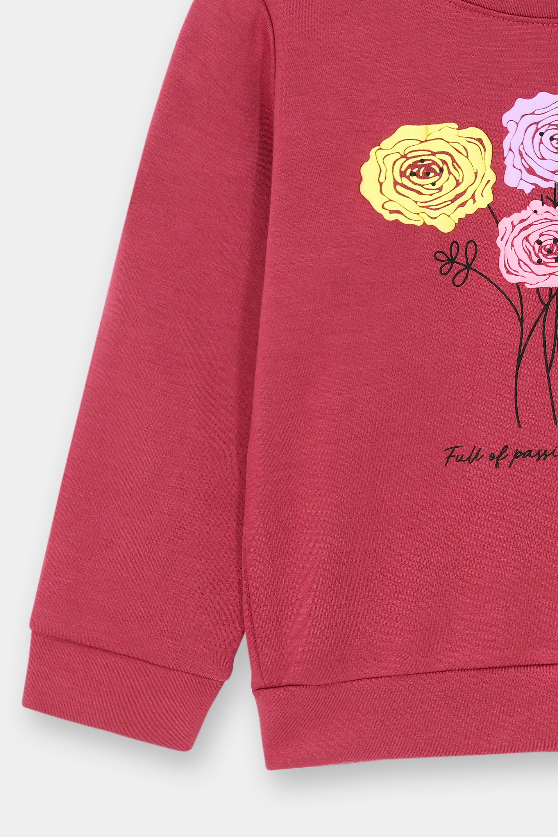 Girls Sweat Shirt