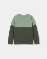 Boys Sweatshirt - Engine - Buy Now