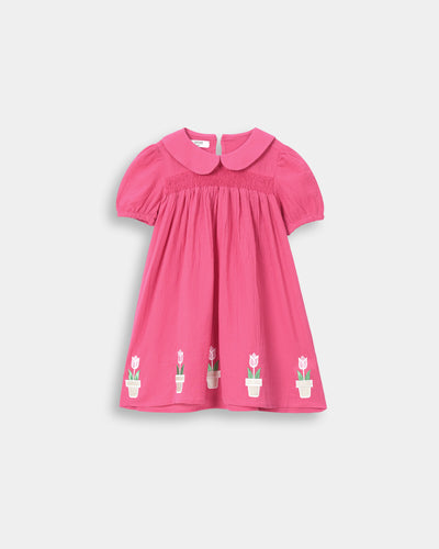 Girls Embroidered Dress