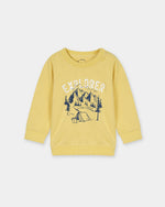 Boys Typography Sweatshirt - Engine - Buy Now