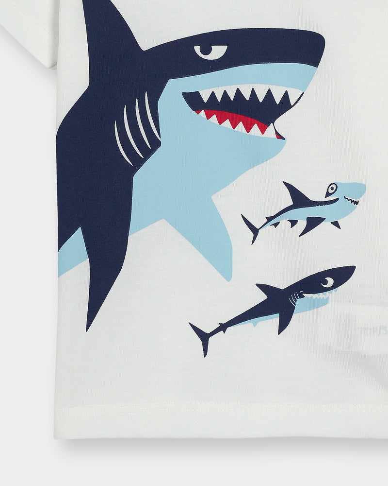 Boys T Shirt - Engine - Buy Now
