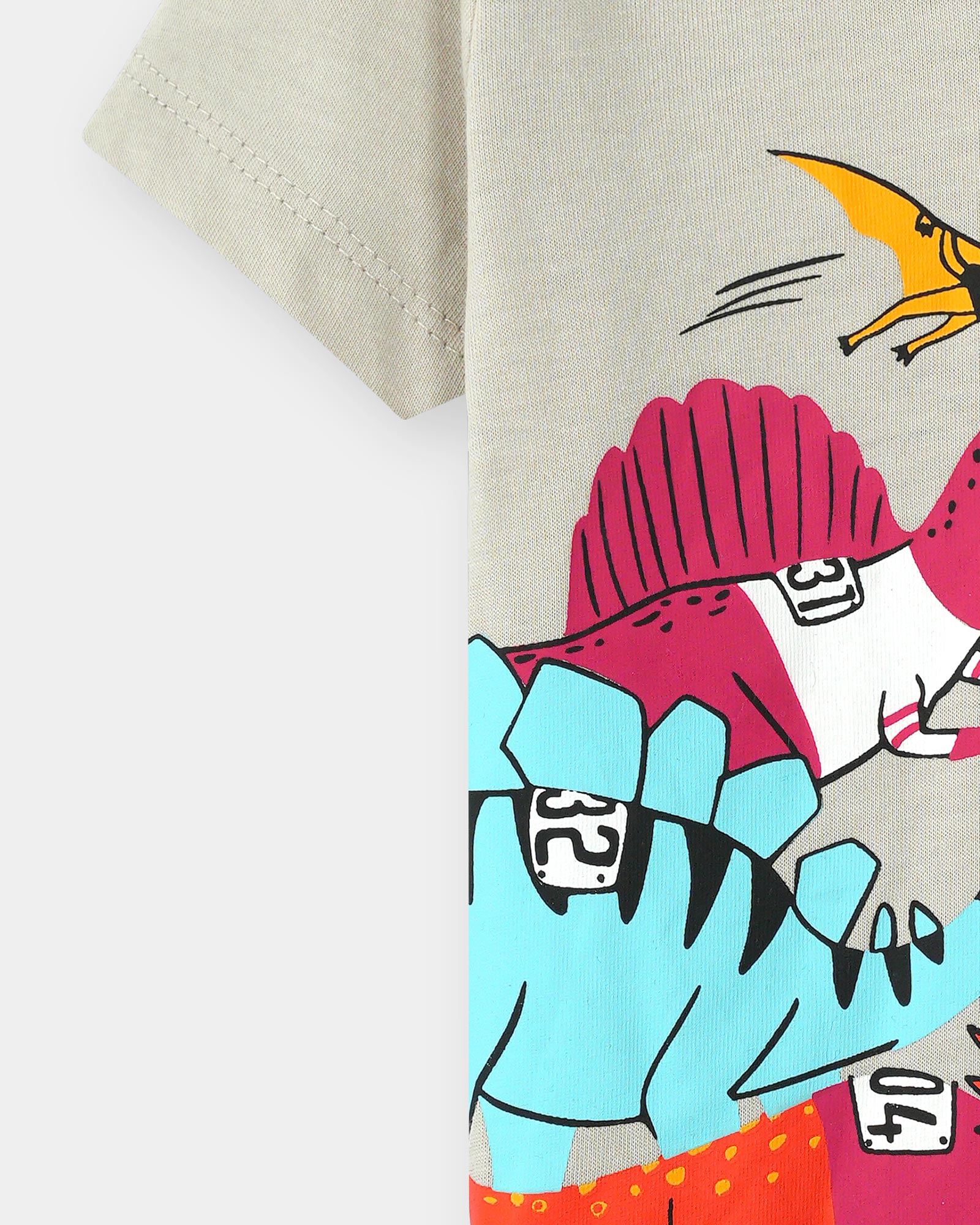 Boys T Shirt