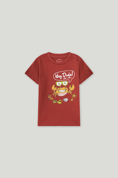 Boys T Shirt