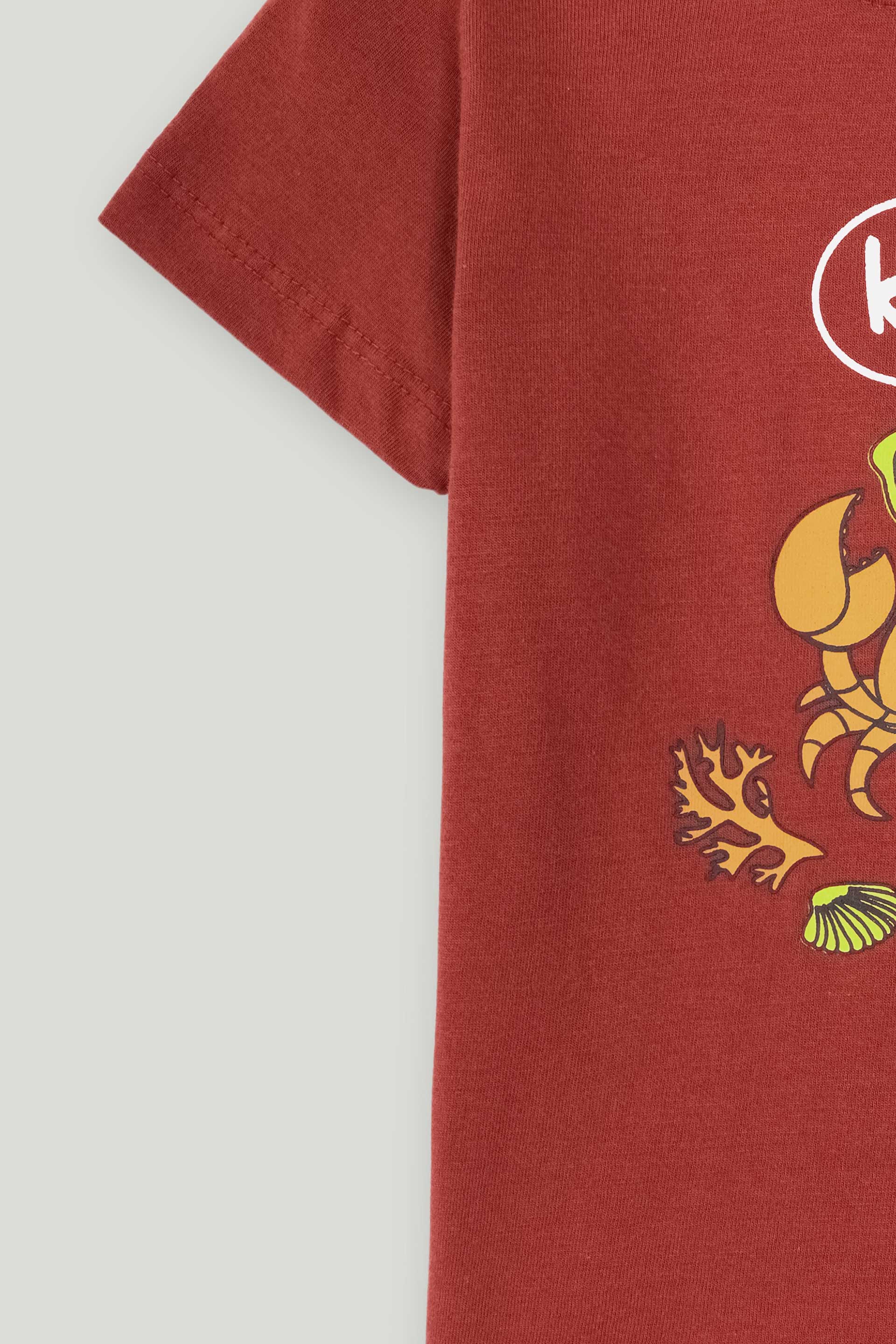 Boys T Shirt - Engine - Buy Now