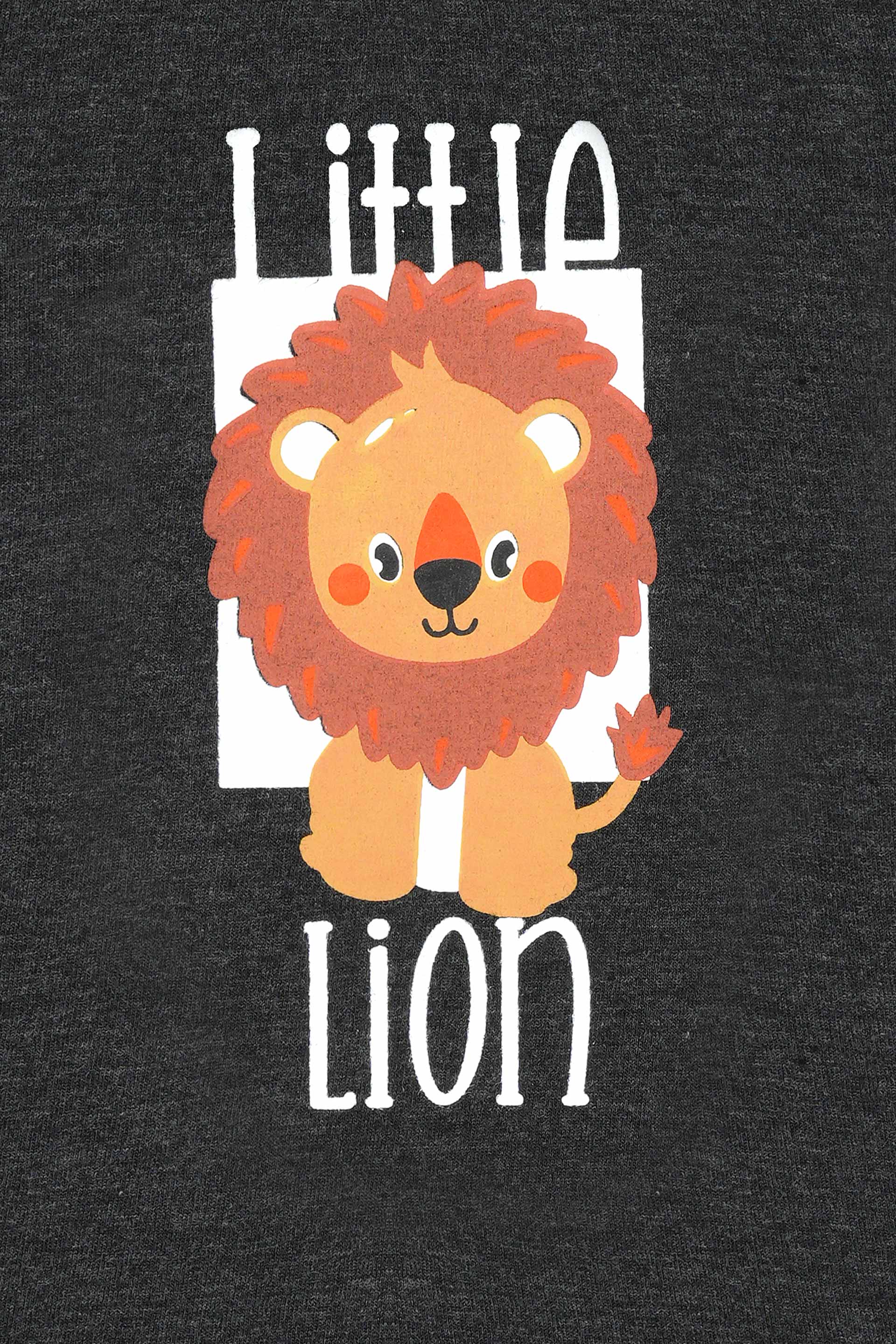 Boys T Shirt