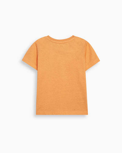 Boys T Shirt