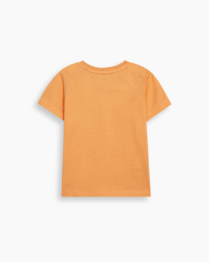 Boys T Shirt