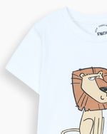 Boys T Shirt - Engine - Buy Now