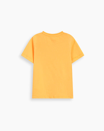 Boys T Shirt