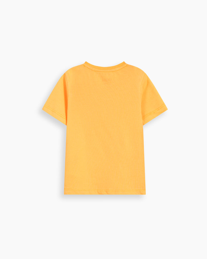 Boys T Shirt