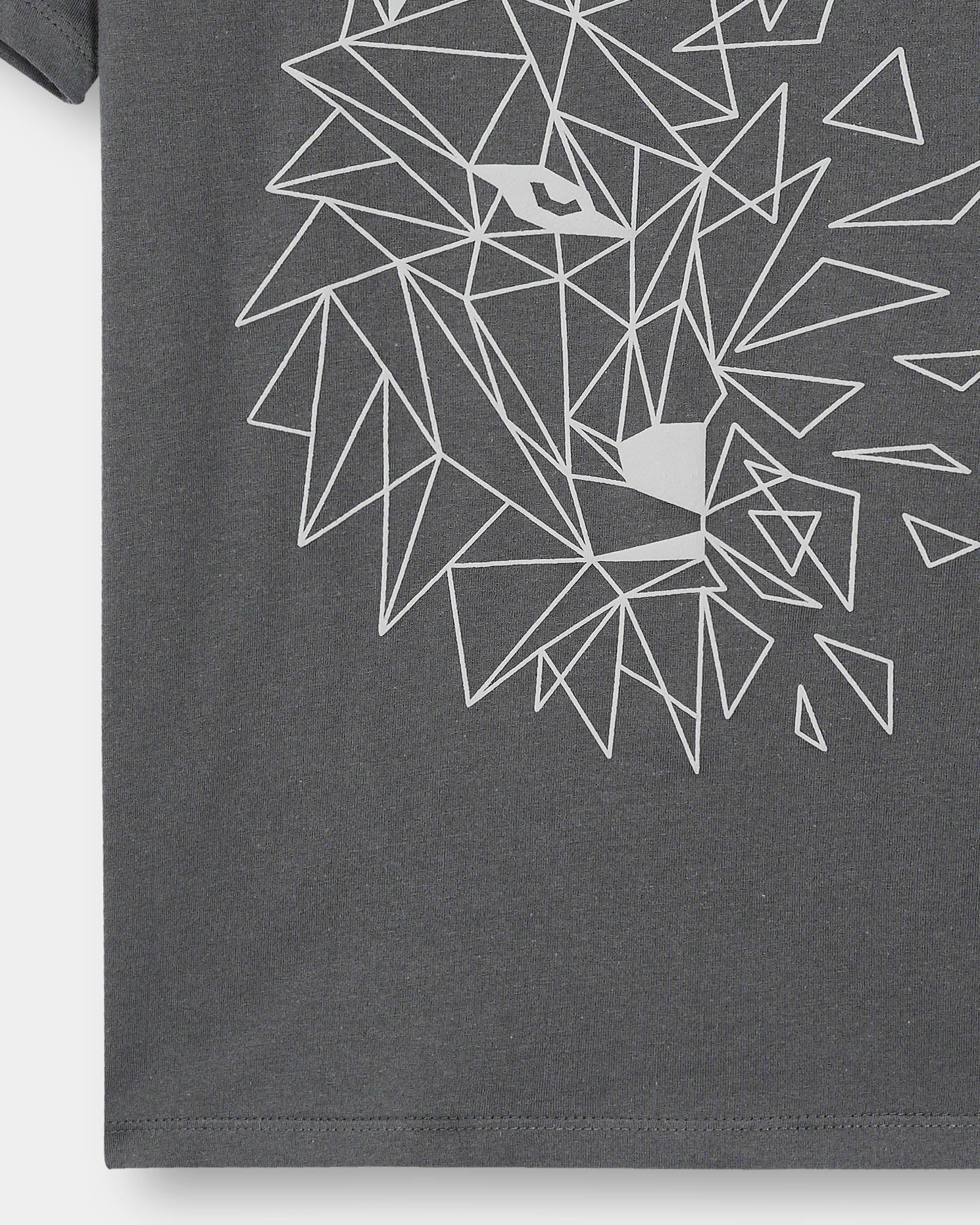 Boys T Shirt - Engine - Buy Now