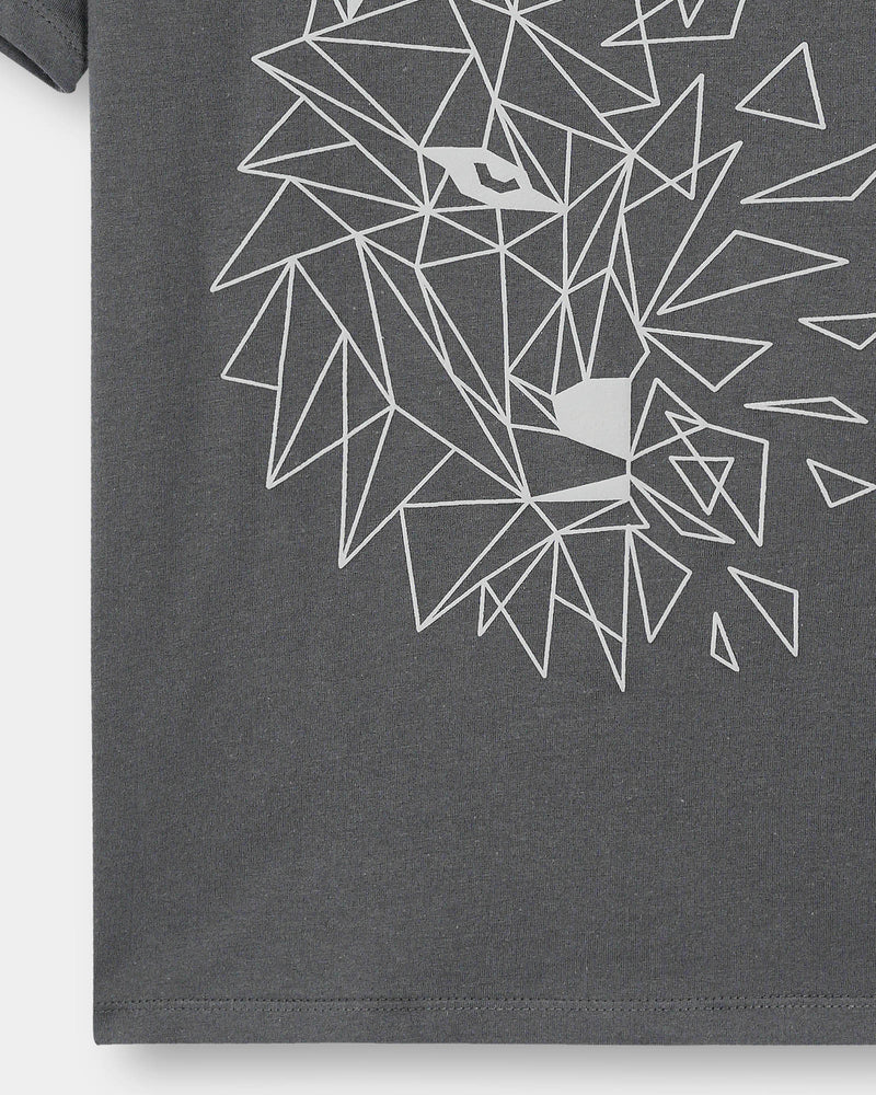 Boys T Shirt - Engine - Buy Now