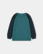 Boys Sweatshirt - Engine - Buy Now