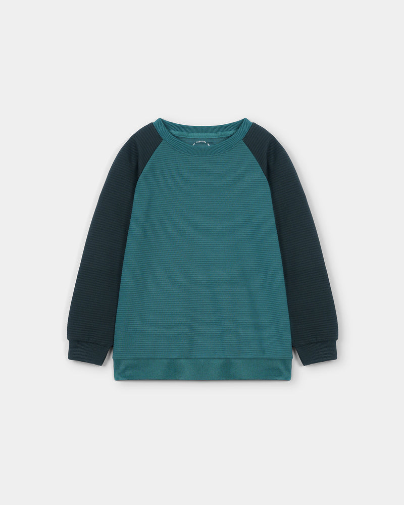 Boys Sweatshirt - Engine - Buy Now