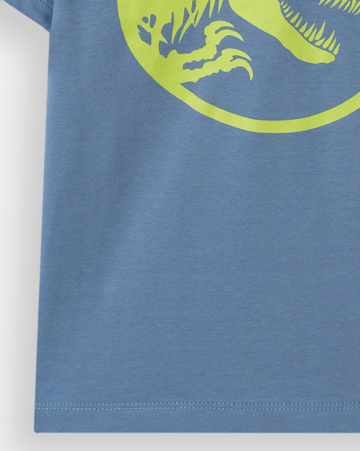 Boys T Shirt - Engine - Buy Now
