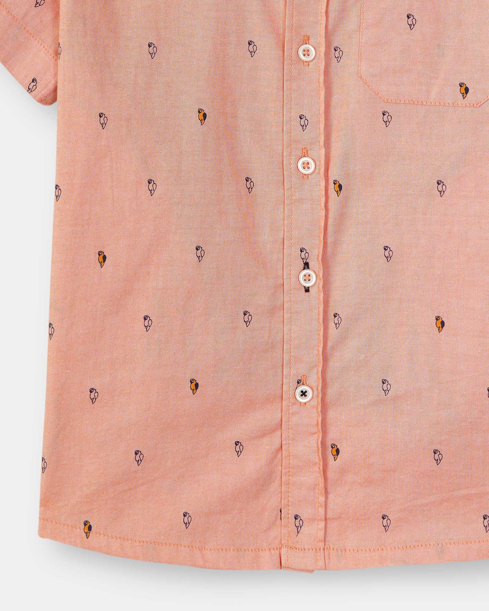 Boys  Casual Shirt